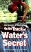 On the Track of Water's Secret