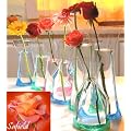 7-teiliges Vasen-Set zum Selber Formen Blumenvase