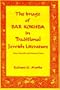 The Image of Bar Kokhba in Traditional Jewish Literature: False Messiah and National Hero (Hermeneutics, Studies in the History of Religions)