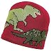 Turtle Fur Boy's Jurassic Hat - Red