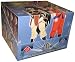 Book Dragon Ball Z Saiyan Saga Series Starter display box (10 starter decks)