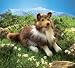 Folkmanis Collie Puppet