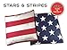 Wild Sports Stars and Stripes Cornhole Bean Bags