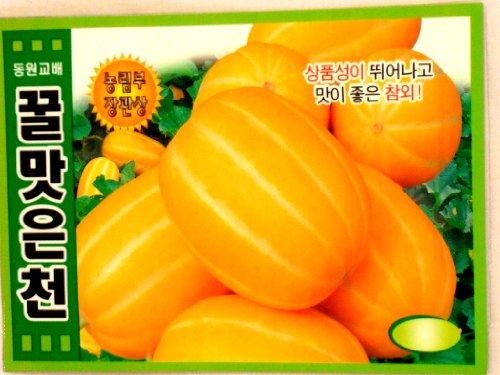 Melon Seeds Korean 2pack