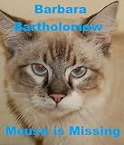 Mouse Is Missing