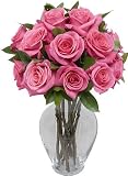 One Dozen Dark Pink Roses with Hourglass Vase