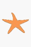パンチ STAR FISH
