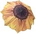 Sunflower Bloom Umbrella 46" arc, 100% Pongee cover Galleria