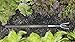 Joseph Bentley Traditional Garden Tools Stainless Steel Midi 3-Prong Cultivator, 18-Inch