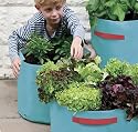 3 vegetable patio planters - made of tough polyethylene - perfect for growing starting to grow veg in your garden