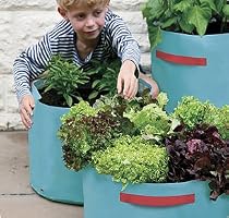 3 vegetable patio planters - made of tough polyethylene - perfect for growing starting to grow veg in your garden