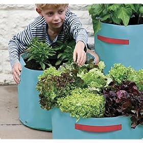 3 x Haxnicks Vegetable Planters or Grow Bags in Turquoise