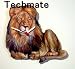 Lion Wall Clock - WWT22A