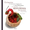 Grimoire de recettes magiques et envo�tantes � l'usage des sorci�res (et sorciers) d'aujourd'hui