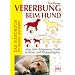 Vererbung beim Hund - Das Handbuch für Züchter und Halter