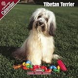 2009 Tibetan Terrier Wall Calendar