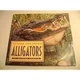 outside and inside alligators