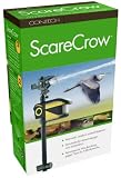 ScareCrow Automatic Outdoor Animal Deterrent