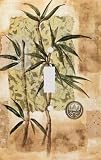 Asian Serenity Bamboo Decorative Switchplate Cover
