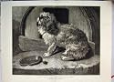1874 Edwin Landseer No Place Like Home Dog Kennel Print