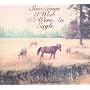 Sometimes I Wish I Were An Eagle ~ Bill Callahan