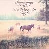Image of album by Bill Callahan