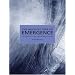 The Architecture of Emergence: The Evolution of Form in Nature and Civilisation