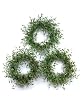 Set of 3 Garden Getaway Artificial Boxwood, Bamboo and Ivy Wreaths 17" - Unlit