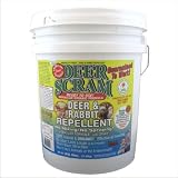Deer Scram 25# Deer & Rabbit Repellent Granular White Pail