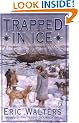 Trapped In Ice