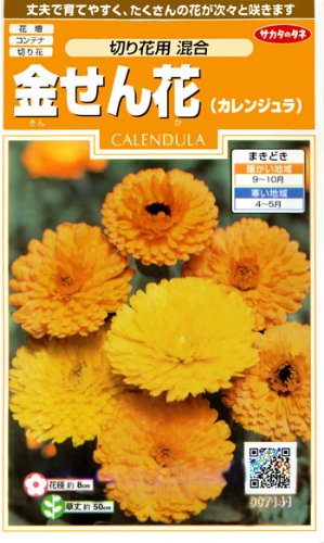 キンセンカ（カレンジュラ）　切り花用 混合　種子 [サカタのタネ]