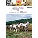 Attelages et attel�es : Un si�cle d'utilisation du cheval de trait
