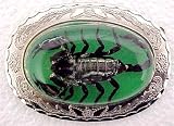 Cool Western Chrome Real Scorpion Belt Buckle Green