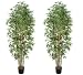 TWO Pre-potted 7' Artificial Bamboo Trees with Real Bamboo Trunks