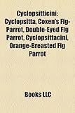Cyclopsitticini: Cyclopsitta, Coxen's Fig-Parrot, Double-Eyed Fig Parrot, Cyclopsittacini, Orange-Breasted Fig Parrot-