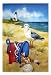 Patriotic Point Silk Reflections Garden Size Flag