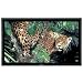 Panasonic TH50PF9UK 50-Inch Full HD Plasma Display