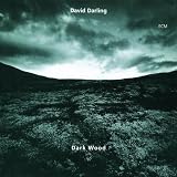 Darkwood