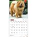 Chow Chows 2015 Wall Calendar