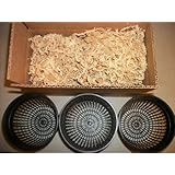 Three 5 Inch Net Pots with New Zealand Sphagnum Moss