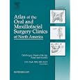 Cleft Surgery: Repair of the Lip, Palate, and Alveolus, An Issue of Atlas of the Oral and... by G.E. Ghali DDS MD FACS