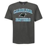 NFL Men's Carolina Panthers Heart And Soul Ii Adult Short Sleeve Basic Tee (Heather Gray, X-Large)