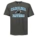 NFL Carolina Panthers Heart And Soul II Adult Short-Sleeved Basic Tee