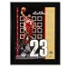 LeBron James Cleveland Cavaliers Autographed Away/Red Jersey Numbers Piece