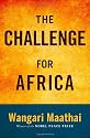 The Challenge for Africa