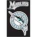 Florida Marlins Applique Banner Flag