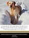 Labrador Retrievers: A Choice Breed for Hunting, Retrieving, Therapy and Agility Dogs