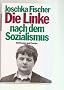 Die Linke nach dem Sozialismus