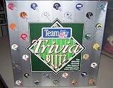 Team NFL Trivia Blitz
