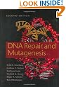 DNA Repair and Mutagenesis